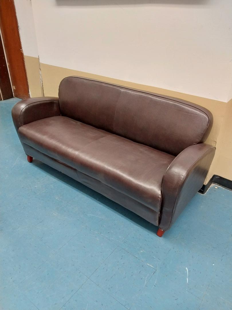 Beautiful Vinyl Couches