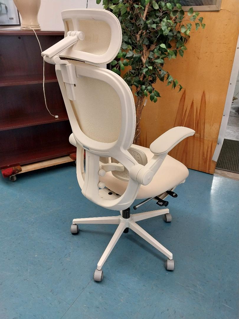 Hinomi Q2 Ergonomic Chair