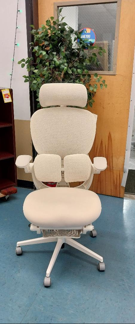 Hinomi Q2 Ergonomic Chair