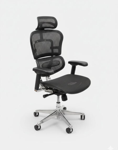 Ergohuman-Executive-High-Back-Mesh-Chair-1